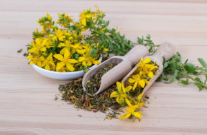 St.John’s Wort Extract，Hypericin